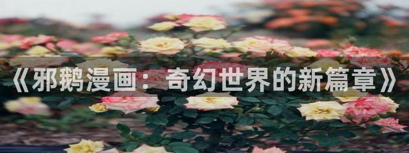 香蕉漫画官网
